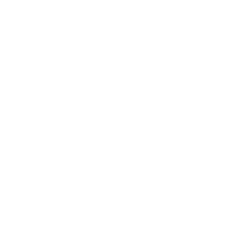 icon of graphs indicating investment services